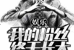 娱乐大爆料小说推荐,揭秘明星幕后故事，带你走进璀璨星光背后的真实世界