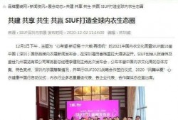 深圳小宋最新爆料新闻报道,最新新闻报道揭秘