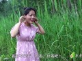 乡村小乔前弟媳爆料视频,揭秘背后惊人真相