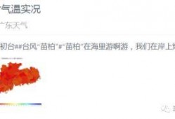 今日佛山爆料消息最新,揭秘城市热点事件背后的真相