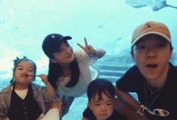 小鹿离婚爆料视频,揭秘婚姻背后的真相与心酸