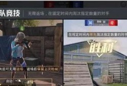 石家庄爆料精英事件视频,揭秘背后真相与网络舆论风暴