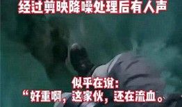 台北最新爆料事件视频,视频揭露惊人内幕
