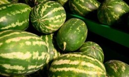 遵义网红吃瓜事件,揭秘网络舆论背后的真相与争议