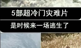 在线观看灾难片,在线见证人类生存挑战