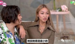 歌手分手爆料视频合集,歌手分手爆料视频合集深度解析