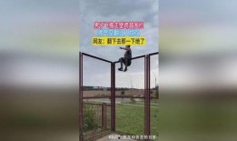 跨越栅栏在线观看,一场跨越时空的视觉盛宴