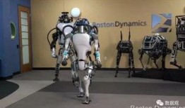 全网最新爆料机器人视频,最新机器人视频揭秘未来科技前沿