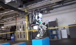 全网最新爆料机器人视频,最新机器人视频揭秘未来科技前沿