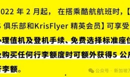 新嘉坡最新爆料消息今天,揭秘今日热点事件！”