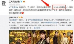 天涯爆料娱乐圈导演小说,导演背后的秘密与小说中的娱乐圈传奇