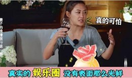求职者爆料演艺圈内幕,求职者曝惊人内幕，行业真相令人咋舌