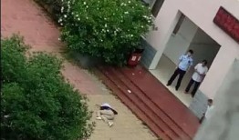 郑州小洋楼爆料事件最新,揭秘背后惊人真相，业主维权之路曲折艰难