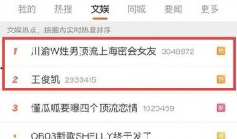 狗仔视频爆料网站在线观看,揭秘娱乐圈幕后真相