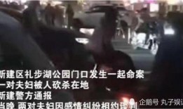 南昌爆料情感纠纷案例最新,爱恨交织，法律维权之路