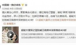 王老三爆料视频播放网站,热门播放网站背后的秘密