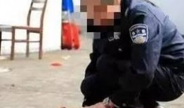 小宝爆料狗贩子视频大全