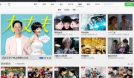 爆料博主揭秘视频下载软件,揭秘博主爆料背后的真相与技巧