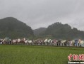 贵定县新闻爆料热线,聚焦民生，倾听民意，共筑和谐家园