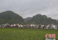 贵定县新闻爆料热线,聚焦民生，倾听民意，共筑和谐家园