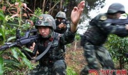 武装特警在线观看高清,高清在线，热血激战一触即发