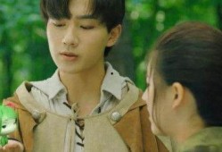 青囊传电视剧全集在线观看,揭秘古代医术传奇，探寻神秘家族传承之谜