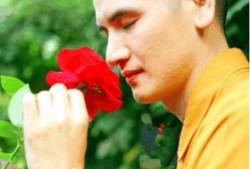 花草和尚在线观看,探寻禅意生活之美
