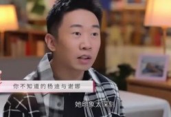 谢娜最新爆料杨迪,揭秘背后惊人故事