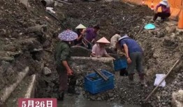 俄罗斯考古爆料视频,千年古文明宝藏重现世间