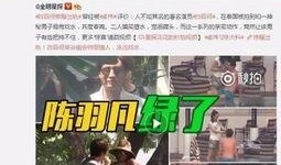 爆料揭阳出轨案件视频,视频曝光惊人细节，真相令人咋舌