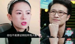 章子怡弟弟爆料视频在线观看,揭秘娱乐圈不为人知的一面