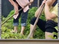 娱乐八卦 吃瓜群众