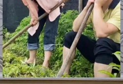 娱乐八卦 吃瓜群众
