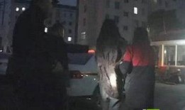 野人前女友爆料分手视频,前女友爆料视频揭露分手内幕