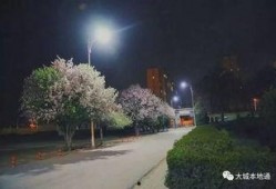 最新大城新闻爆料,揭秘最新热点事件背后的真相