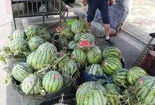 遵义网红吃瓜事件,揭秘网络舆论背后的真相与争议