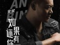 你歌曲在线观看,在线观看歌曲的视听之旅