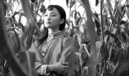 电影 红高粱 在线观看,激情燃烧的岁月，民族精神的颂歌