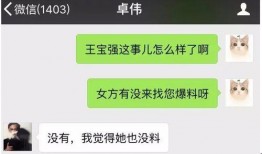 爆料真实的视频网站下载,揭秘热门视频网站下载技巧与注意事项