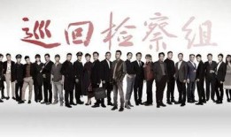 巡回检察组最新剧情爆料,揭秘反腐风暴背后的惊心动魄！