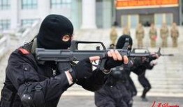 武装特警在线观看高清,高清在线，热血激战一触即发