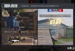 和平精英爆料素材视频大全,揭秘游戏新内容与精彩瞬间