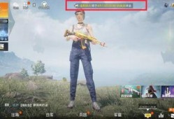 吃鸡超前爆料最新,揭秘全新玩法与神秘武器